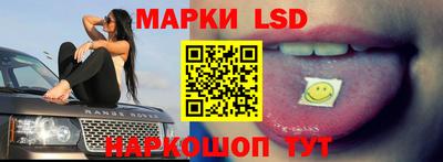 a pvp Новозыбков